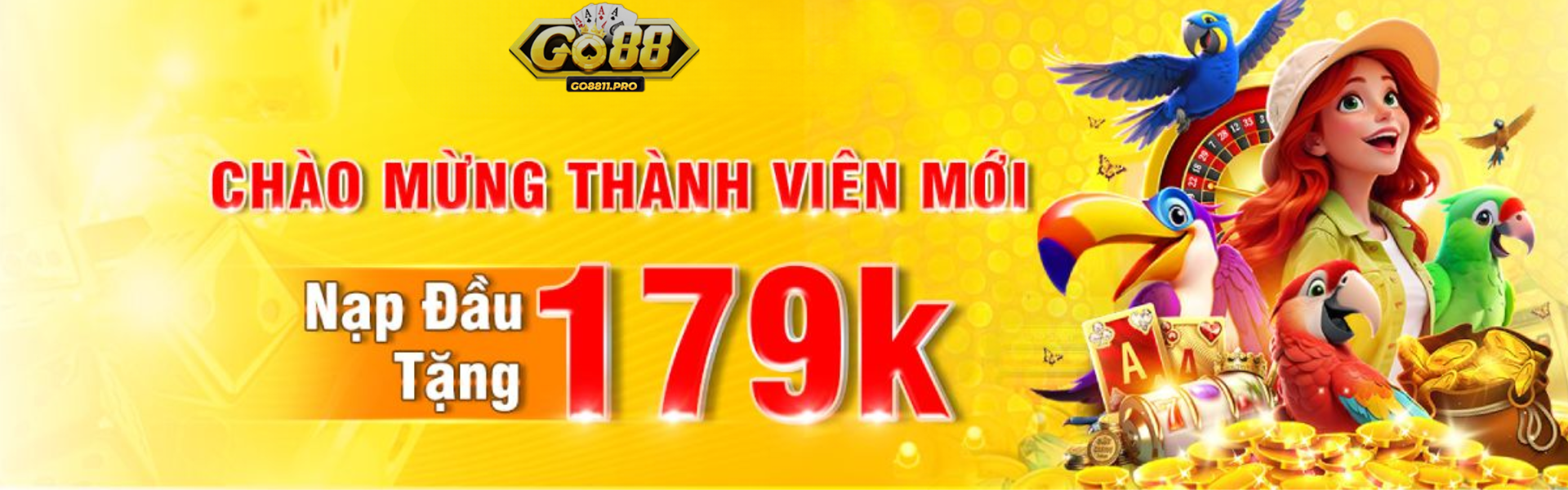 Banner www.hd9665.com